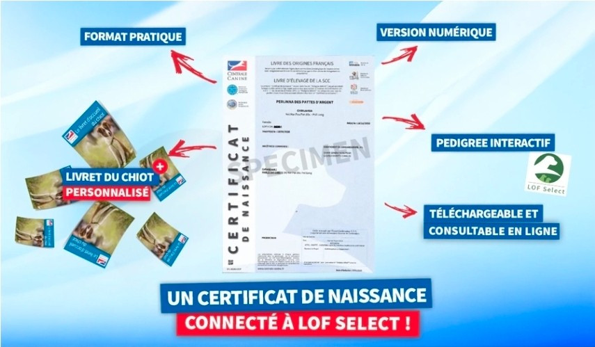 01/09/ 2025 : le certificat de naissance devient numérique